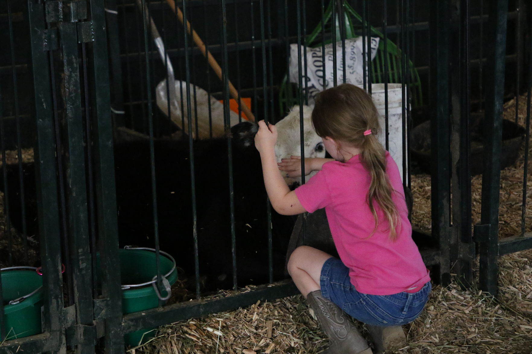 Animal Barns (1).JPG